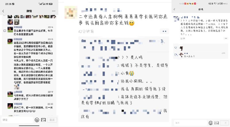 网友投稿11月14日，江苏，徐州市第二中学，两名校内工作人员将一只小狗残忍虐杀