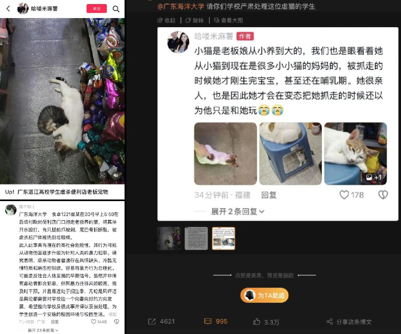 李老师不是你老师 (@whyyoutouzhele)