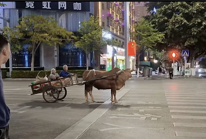 3月21日(发布) 云南红河州