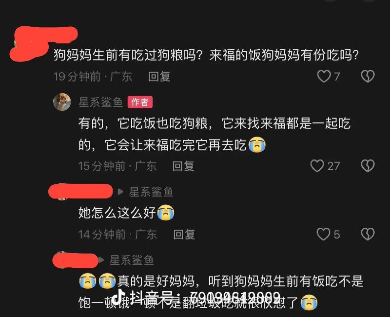 【揭阳虐狗事件】7月19日，有网友发现，收养揭阳流浪狗“旺旺”唯一幸存幼犬“福兜”的主人，其抖音账号已无法正常访问，账号内记录“福兜”成长过程的视频也全部消失