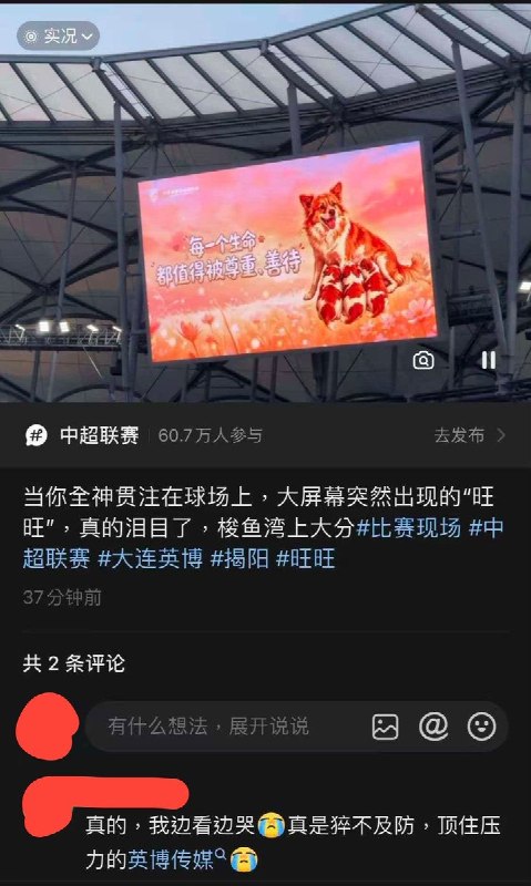 7月18日晚，中超大连英博对阵山东泰山的比赛期间，有球迷拍到，大连梭鱼湾足球场的大屏突然出现了此前在广东揭阳虐狗事件中遇害的流浪母犬“旺旺”