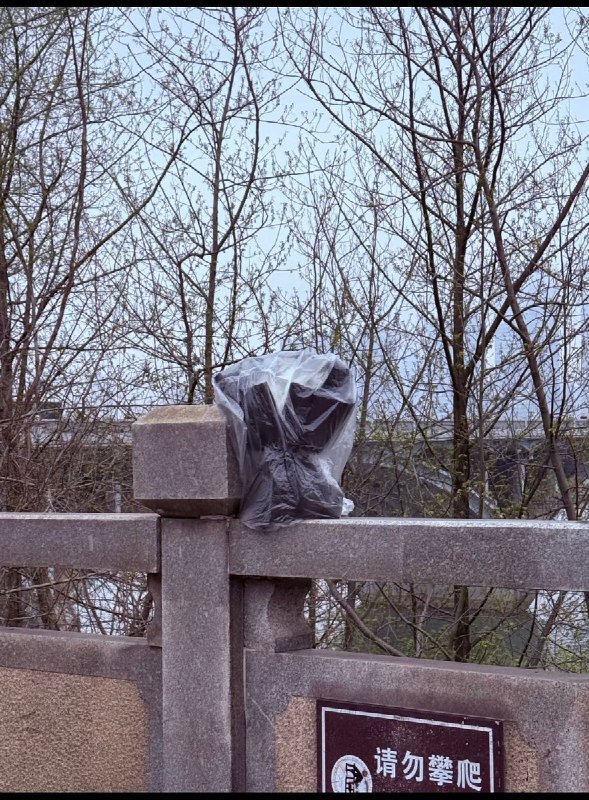 3月17日，橘子洲大桥