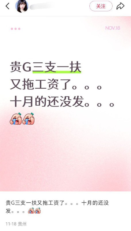 11月18日，贵州省安顺市，一名博主发帖吐槽三支一扶十个月没发工资了，评论区体制内网友纷纷表示自己也遇到了相同的情况