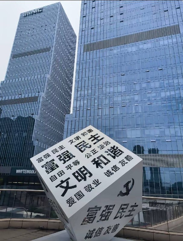 “领土神圣不可侵犯”7月13日，四川成都，NIC国创中心