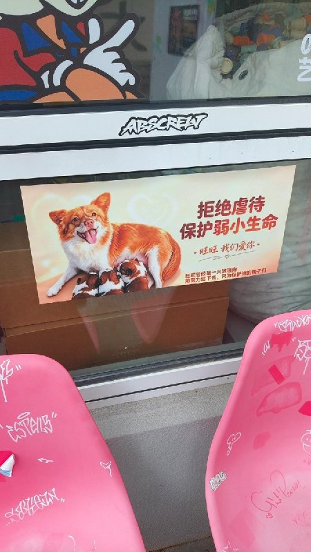 【广东揭阳小狗旺旺】7月28日，一名网友在老家一家不起眼的小咖啡馆内发现，店内张贴了多张反虐待动物海报，声援遭虐待的母犬“旺旺”