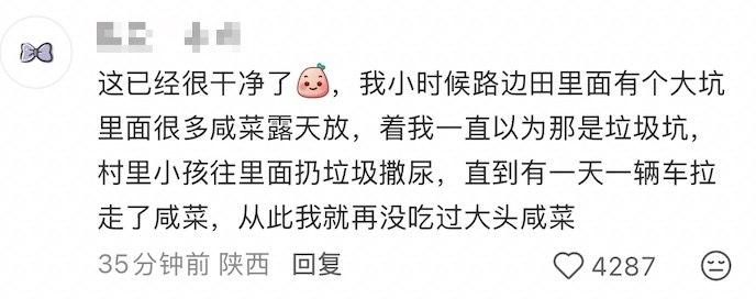 在一则“酸菜已经塌无可塌”的评论区，一网友评论：这已经很干净了固，我小时候路边田里面有个大坑里面很多咸菜露天放，着我一直以为那是垃圾坑，村里小孩往里面扔垃圾撒尿，直到有一天一辆车拉走了咸菜，从此我就再没吃过大头咸菜查看原文📝 引用推文:1月16日，四川省，资阳市，一位网友拍到某企业腌制咸菜的池子竟直接用挖掘机装入 自卸翻斗车运走