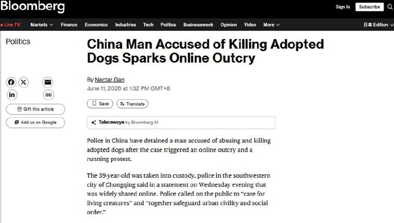 6月11日，彭博社和海峡时报报道了中国重庆虐狗事件​文末指出，此案再次引发了动物保护倡导者对中国出台《反虐待伴侣动物法》的强烈呼吁