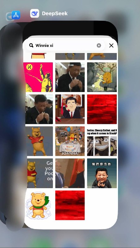 网友投稿：DeepSeek 客服页面里的 GIF 功能疑似直接调用了 WhatsApp 的库，没做关键词过滤