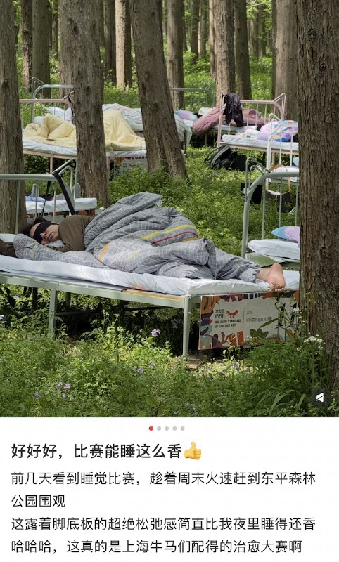 “躺赢”从3月21日到4月26日，上海的东平森林公园每周六都会举办一场“睡眠挑战赛”，整整七个小时没有电子产品，露着脚底板、在大自然里睡大觉查看原文“躺赢”从3月21日到4月26日，上海的东平森林公园每周六都会举办一场“睡眠挑战赛”，整整七个小时没有电子产品，露着脚底板、在大自然里睡大觉查看原文