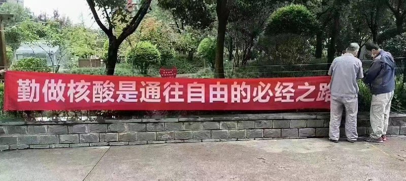 多伦多方脸 (@torontobigface)
