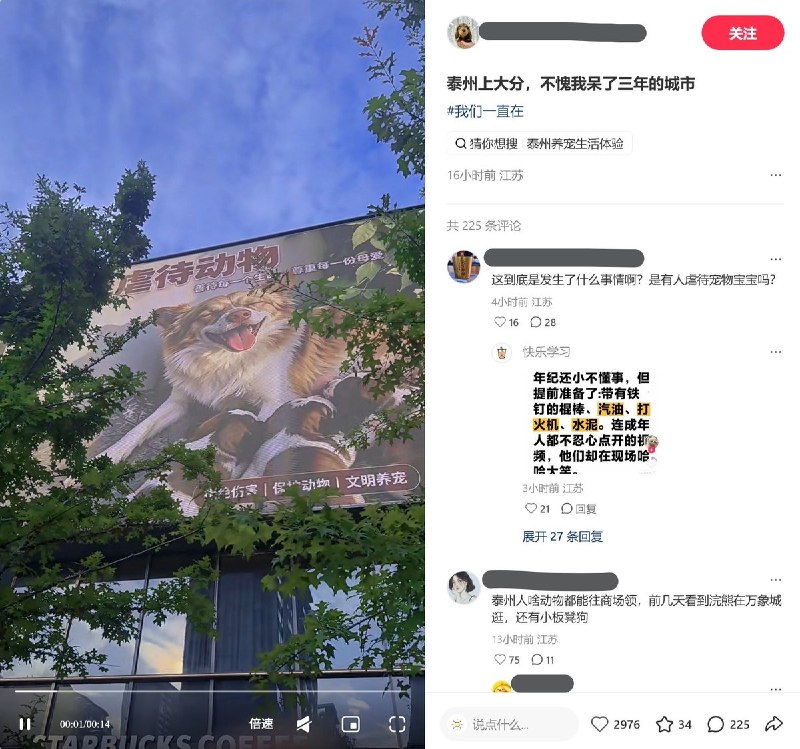 【揭阳虐狗事件】近日，据小红书相关话题讨论，各地动保行动者和商户以户外数字大屏、平面广告等形式，投放以“旺旺”为主题的公益海报，呼吁关注揭阳虐狗事件、反对虐待动物