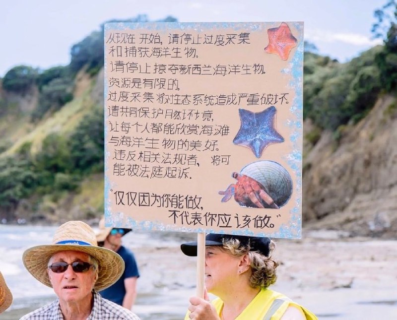 1月19日，奥克兰上百居民近日集会，抗议愈演愈烈的过度赶海行为，有抗议者举起中文标语查看原文