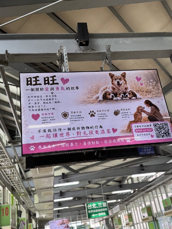 【广东揭阳小狗旺旺】7月27日，有台湾网友发布照片称，善心人士出资在中港转运站投放电子屏广告，声援遭虐待的狗妈妈旺旺及其三只幼犬