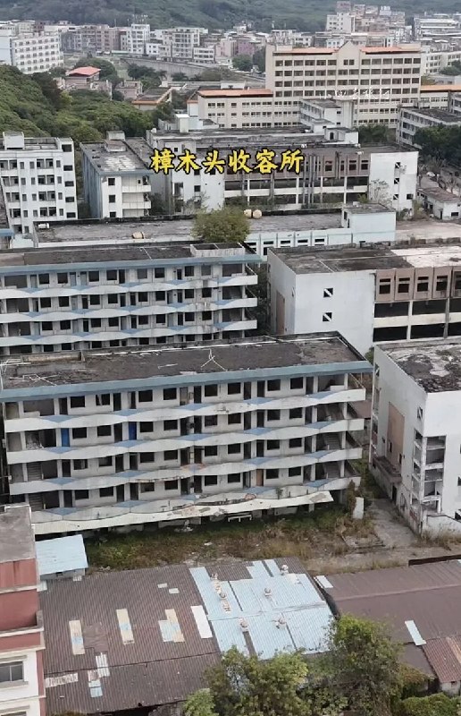 网友投稿：近日，樟木头收容所引起关注