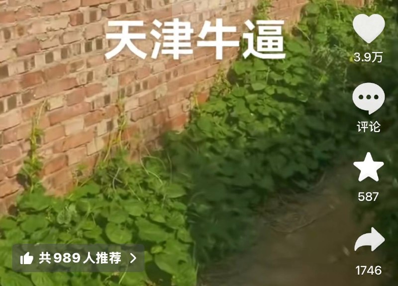 7月28日，天津多地网友反映，当地部分海边区域被铁栅栏和围墙等设施封堵，引发广泛质疑与不满