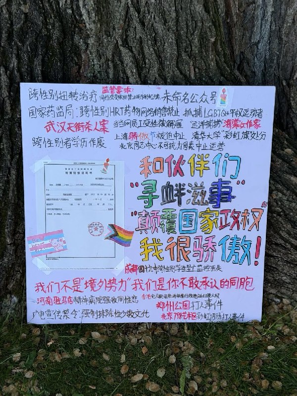 6月28日，多伦多彩虹游行现场和伙伴们“寻衅滋事”、“颠覆国家政权” 我很骄傲！查看原文6月28日，多伦多彩虹游行现场和伙伴们“寻衅滋事”、“颠覆国家政权” 我很骄傲！查看原文