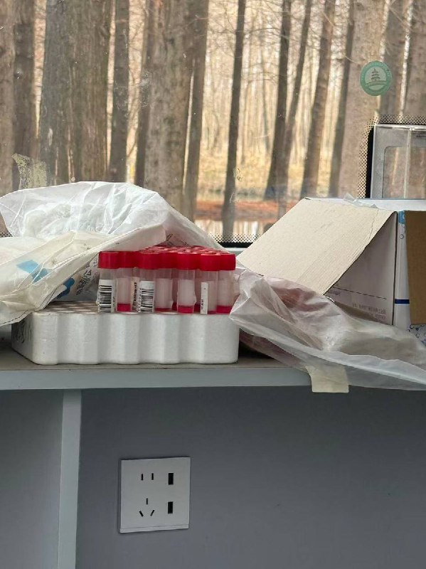 网友投稿：江苏扬州的扬子郊野公园，网友发现了一处未拆的核酸检测亭，里面甚至还有一盒待做化验的样品