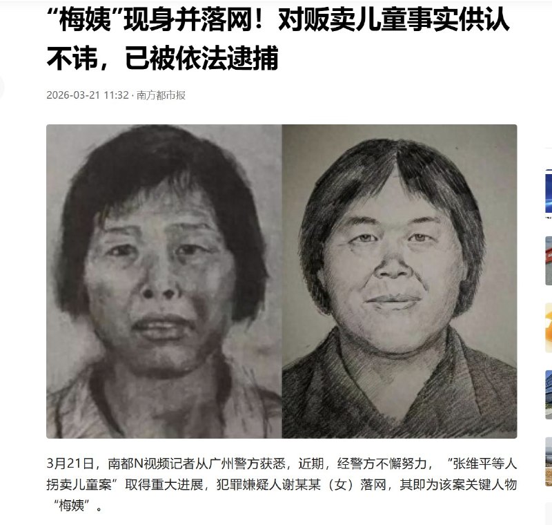 近日，涉嫌至少拐卖9名儿童的“梅姨”落网，已被依法逮捕
