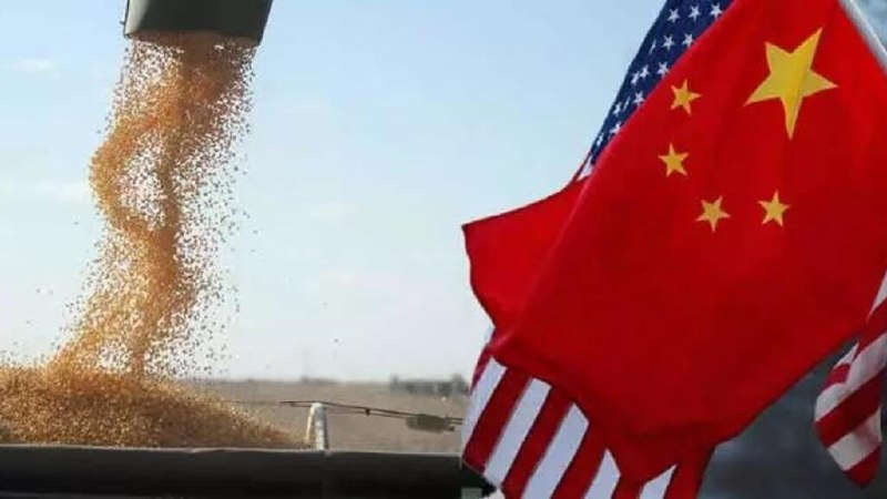 中美农业贸易升温，中国再采购至少6船美国大豆7月7日，据彭博社报道，中国国有企业中粮集团近期预订了至少6批美国大豆，计划于今年9月至10月装运