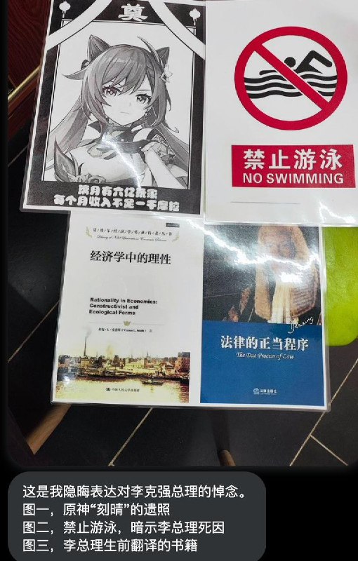 网友投稿：隐晦表达对李克强总理的悼念