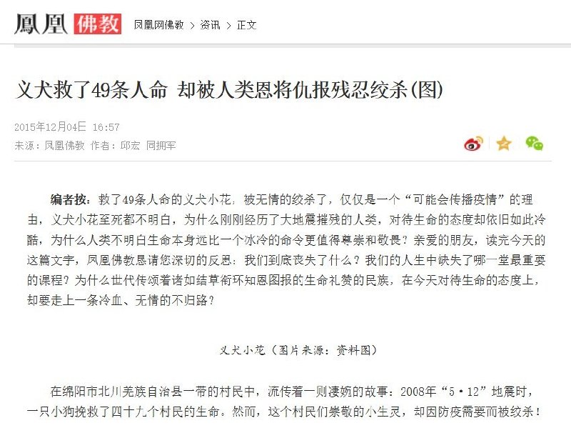 “十几年了依旧没一点长进”近日，因为重庆虐狗事件，社交平台再次流传“义犬小花”的故事