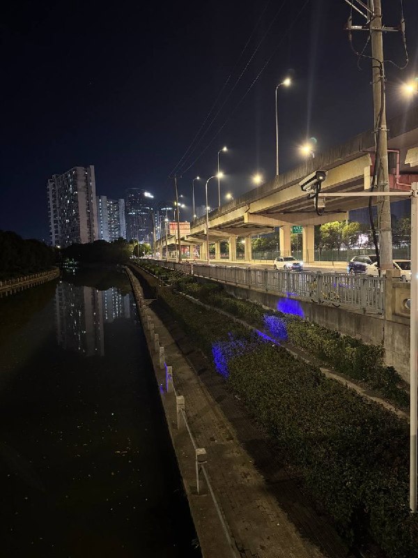 网友投稿位于上海沪松公路旁的河道处，尽管桥下最底层道路无法通行，整条河仍设满了监控设备