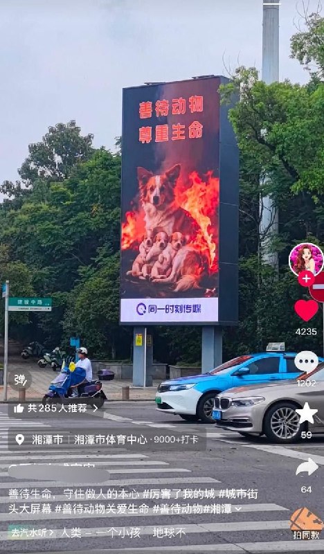 近日，湖南湘潭市体育中心附近一处户外电子大屏出现“善待动物，尊重生命”公益宣传广告