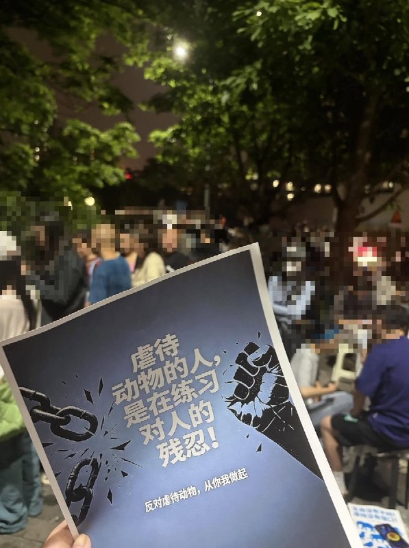 6月10日晚，重庆虐狗事件抗议现场志愿者送来的物资上放着抗议虐待动物的海报查看原文6月10日晚，重庆虐狗事件抗议现场志愿者送来的物资上放着抗议虐待动物的海报查看原文