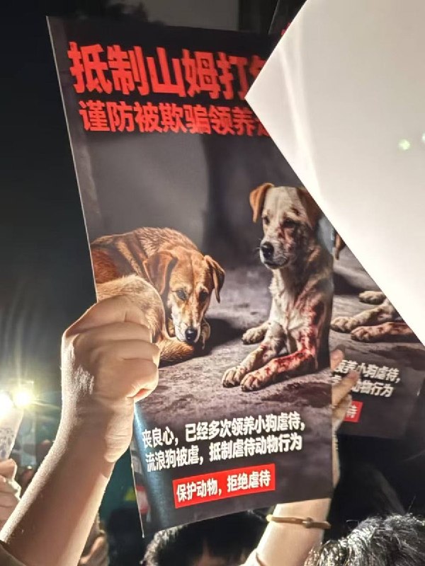 6月8日，重庆“山姆哥”虐狗事件现场，大量志愿者高举海报抗议，志愿者们团结一致没有让警察带走任何人