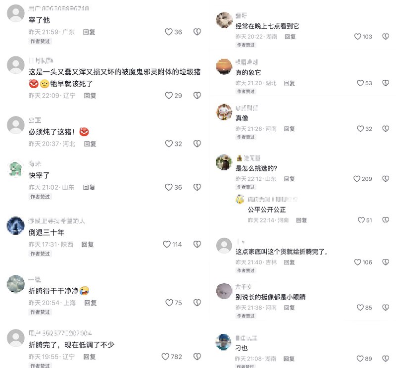 3月7日晚，一网友发布一张猪头图片，并配文：“刚攒了点家底，让这家伙给折腾了”网友们纷纷在评论区冲塔、讽刺习近平：“这货原来想要比肩太祖太宗，现在不吹牛逼了” “二百斤，经常在晚上七点钟看到它” “宰了他” “必须炖了这头猪” “活剥了它”目前，图片和评论已被抖音删除