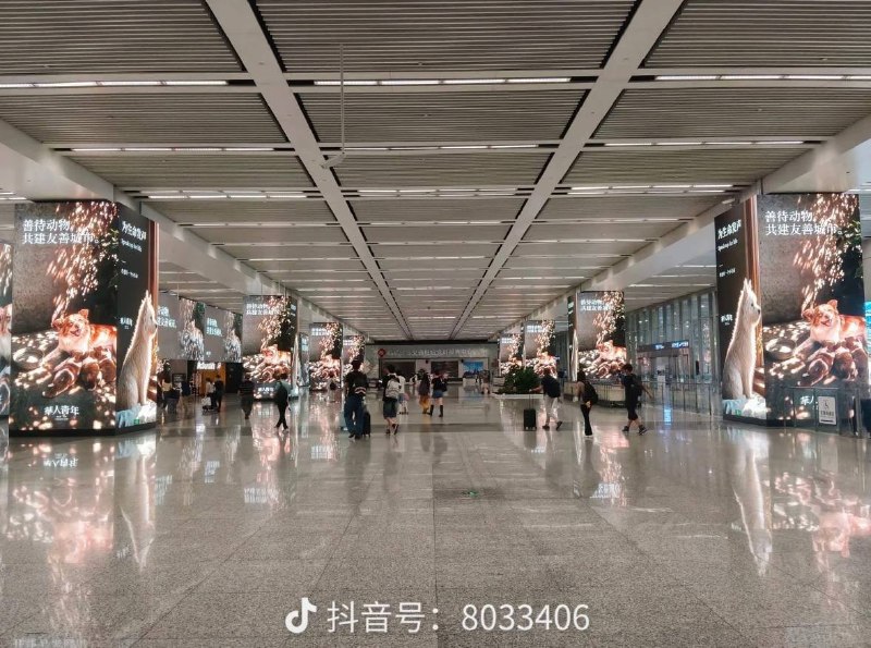 后续：全国各地的电子大屏均出现“禁止虐待动物”的公益宣传