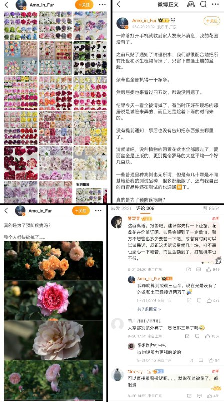 李老师不是你老师 (@whyyoutouzhele)