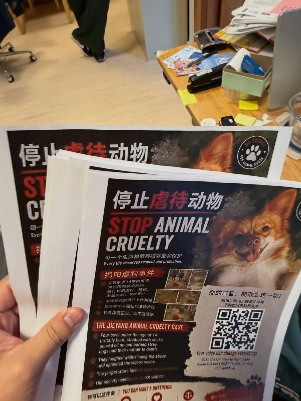 【广东揭阳小狗旺旺】7月25日，一名网友在旧金山华埠张贴中英文海报，向当地居民和游客介绍广东揭阳“旺旺”虐狗事件