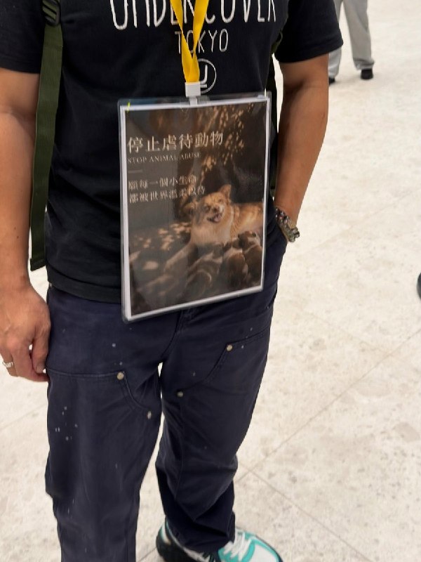 近日，一名市民在香港某地，将声援遭虐犬只“旺旺”的海报挂在身上，向附近路过的市民呼吁关注动物虐待问题