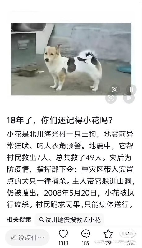 “十几年了依旧没一点长进”近日，因为重庆虐狗事件，社交平台再次流传“义犬小花”的故事