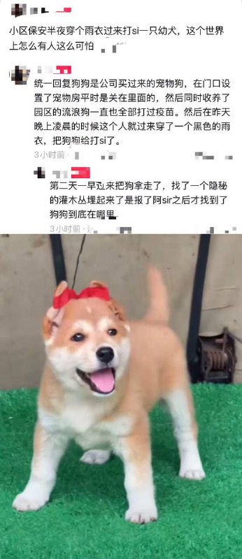 12月3日，浙江杭州