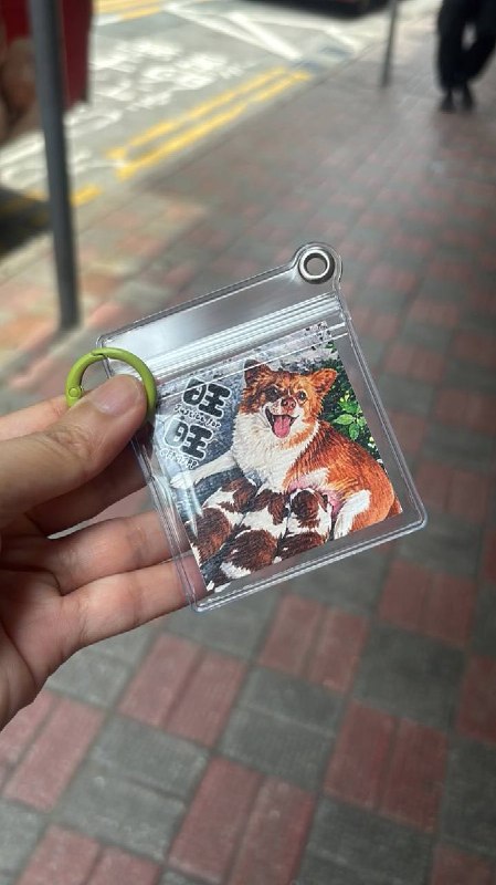 【广东揭阳小狗旺旺】7月25日和26日，香港动物权益协会与圣智院在铜锣湾合办了“再见旺旺”送别会