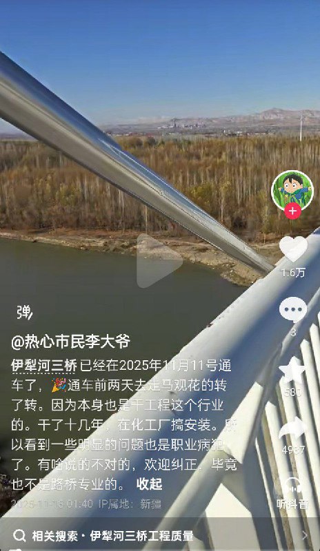 11月14日，一名网友发文称，伊犁河三桥已于11月11日正式通车，而他在通车前两天到现场走访时，凭借十多年化工厂安装经验，发现多处疑似质量隐患