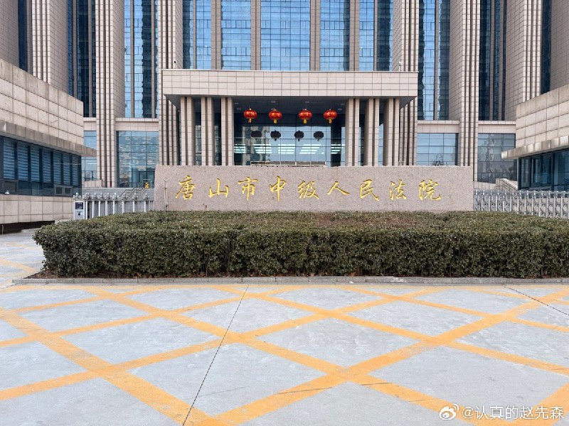 2月9日，一位博主爆料：“唐山中院门口画着黄色网格线，是因为过去十年，有一位上访户，每天坐在唐山中院门口等待领导告状，某领导觉得讨厌，下令要处理这个人