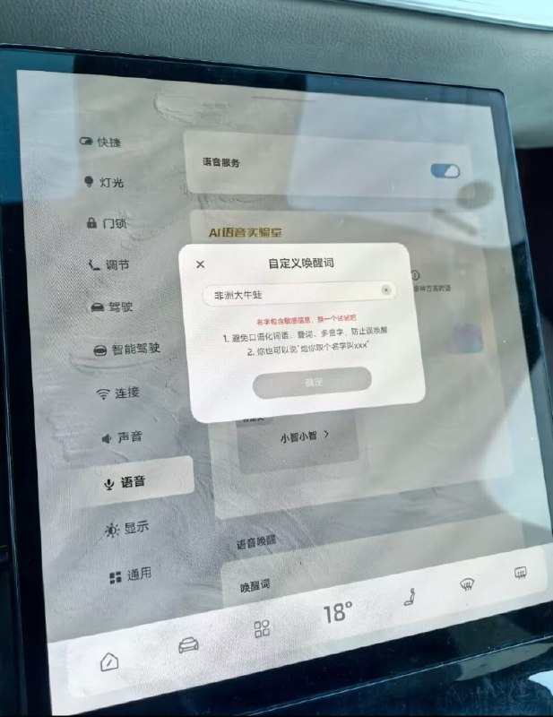 网友投稿：某国产品牌汽车，车机唤醒词“非洲大牛蛙”成为敏感词