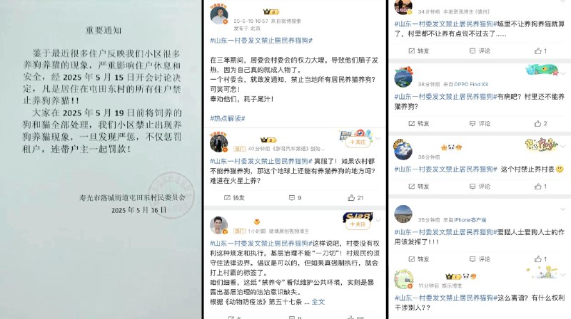 李老师不是你老师 (@whyyoutouzhele)
