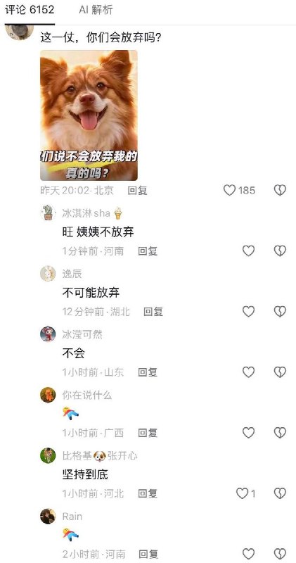 “一直都在”7月20日，成都网友将旺旺和她的孩子画在了墙上，获得了很多网友的支持，他们为争取动物保护立法，反对虐待，在评论区互相打气