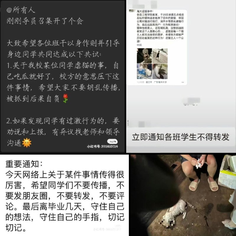 李老师不是你老师 (@whyyoutouzhele)