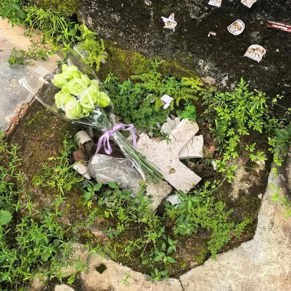9月10日，有网友晒出照片称，她与另外4名关注广东揭阳“旺旺”事件的网友共同凑钱，委托事发地隔壁村的一名女子，前往发帖者所称的“旺旺”遇害地点，摆放食物、清水和一束洋桔梗祭拜