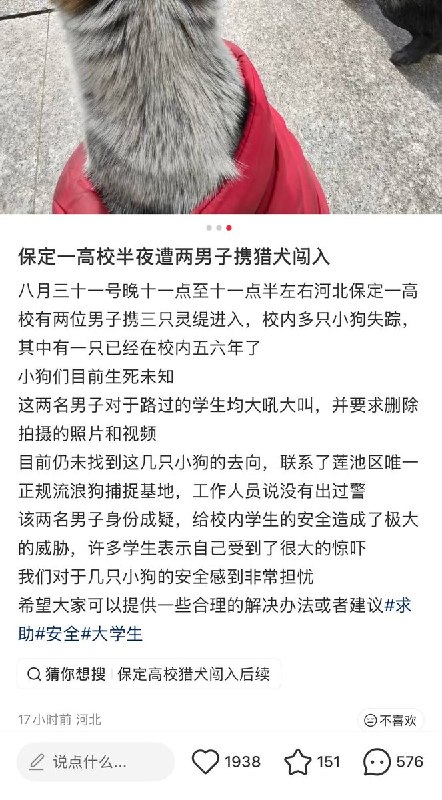 8月31日，河北保定，华北电力大学校园内，有学生发现两名男子深夜携带大型猎犬进入校园捕杀流浪动物，现场传出阵阵惨叫声
