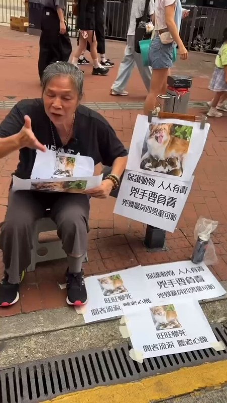 【广东揭阳小狗旺旺】7月25日，香港社运活动人士雷姨在街头公开声援旺旺