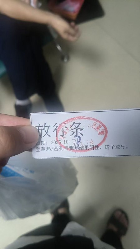 10月27日，广东一网友晒出一张由当地人民医院盖章的“登革热/基孔肯雅热检测阴性放行条”