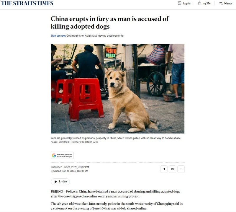 6月11日，彭博社和海峡时报报道了中国重庆虐狗事件​文末指出，此案再次引发了动物保护倡导者对中国出台《反虐待伴侣动物法》的强烈呼吁