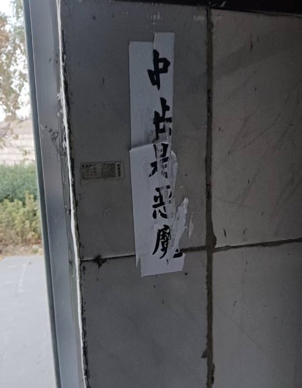 网友投稿11月16日，山东临沂