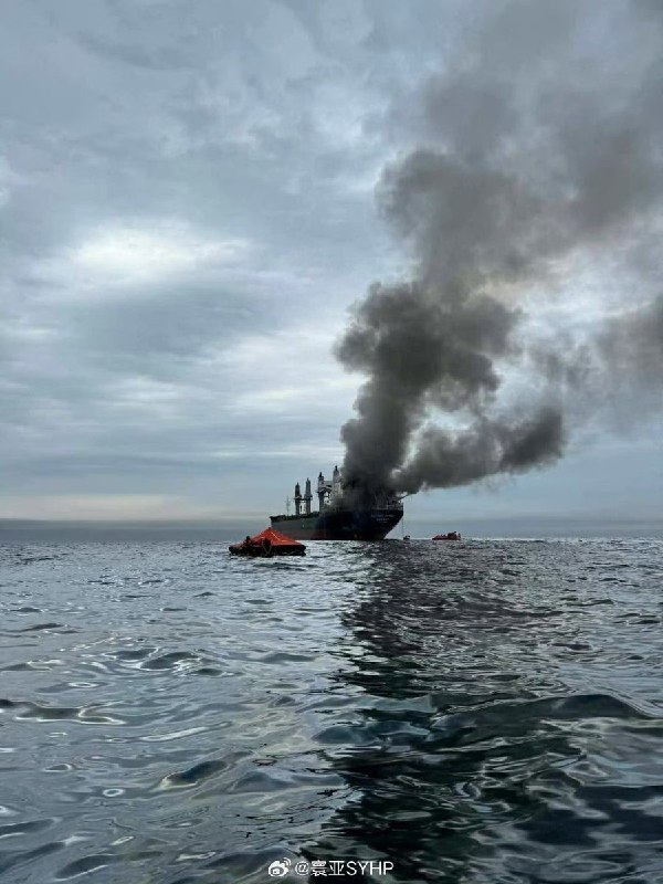 泰国货船在霍尔木兹海峡附近遭袭3月11日，多家媒体援引航运安全机构消息报道，一艘悬挂泰国国旗的货船在霍尔木兹海峡附近海域遭到袭击，船体严重受损